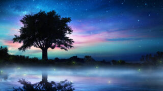 Starry Night With Lonely Tree