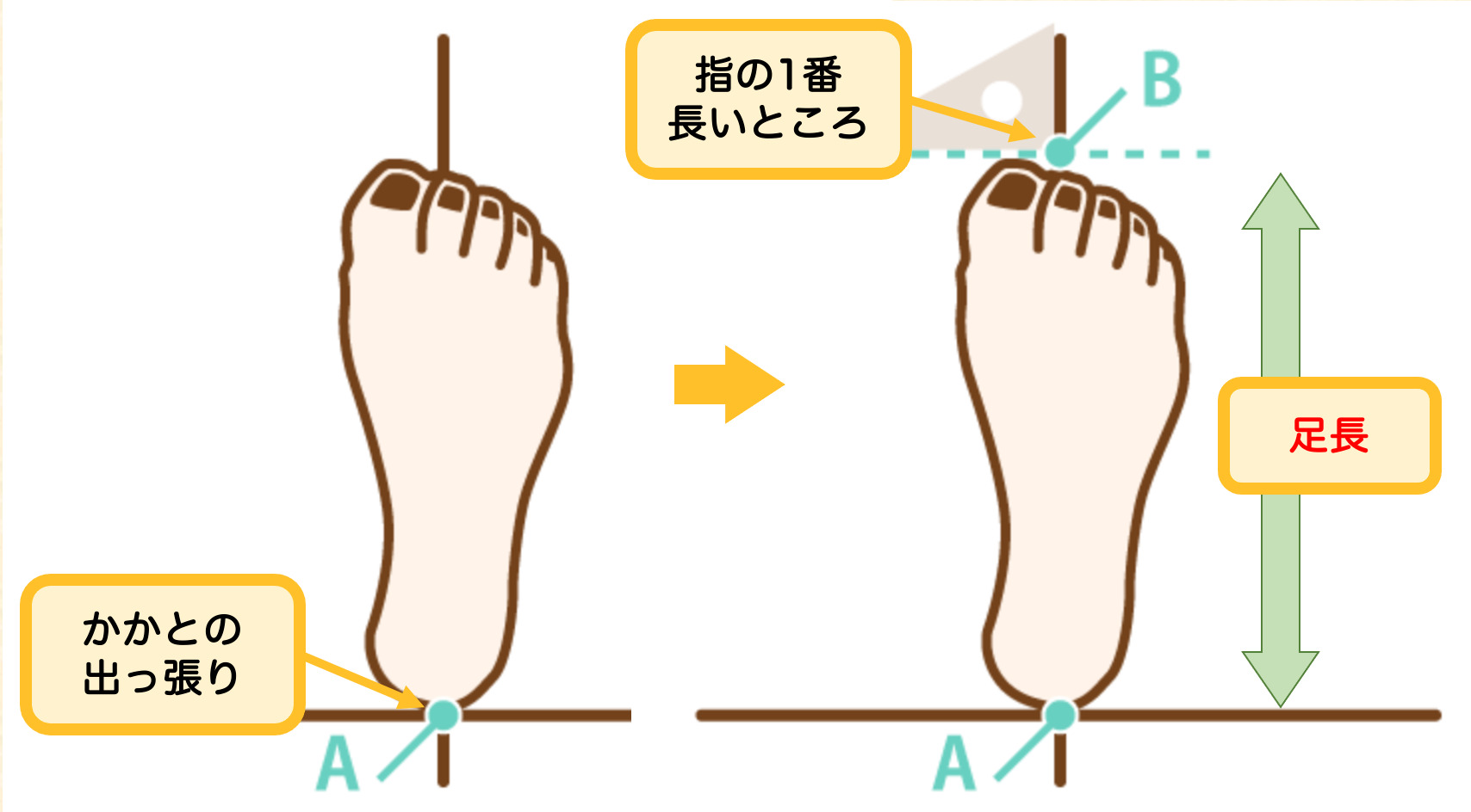 足長の測り方