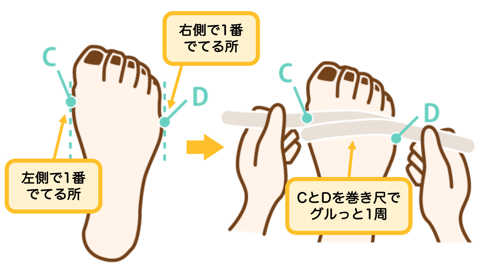 足囲の測り方