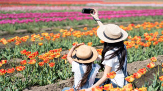 花畑で写真を撮る親子